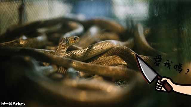 广州味道,正宗广州味