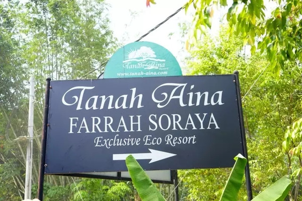 马来西亚猫山王详细攻略,尝一口香甜的马来西亚猫山王