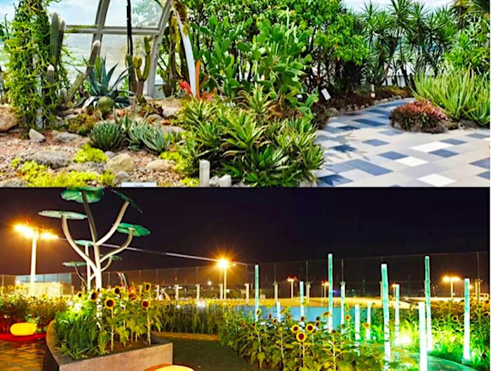 兴耀樟宜机场2025年动工吗,樟宜机场航站楼