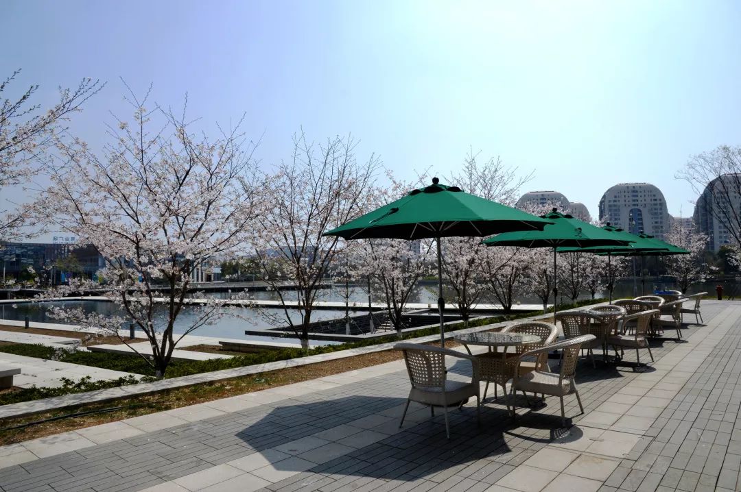 苏州适合周末度假的酒店,苏州度假酒店亲子游冬季