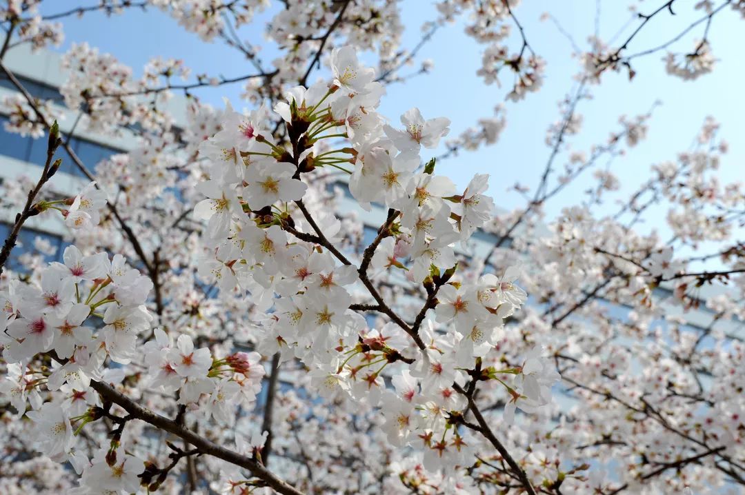 苏州适合周末度假的酒店,苏州度假酒店亲子游冬季
