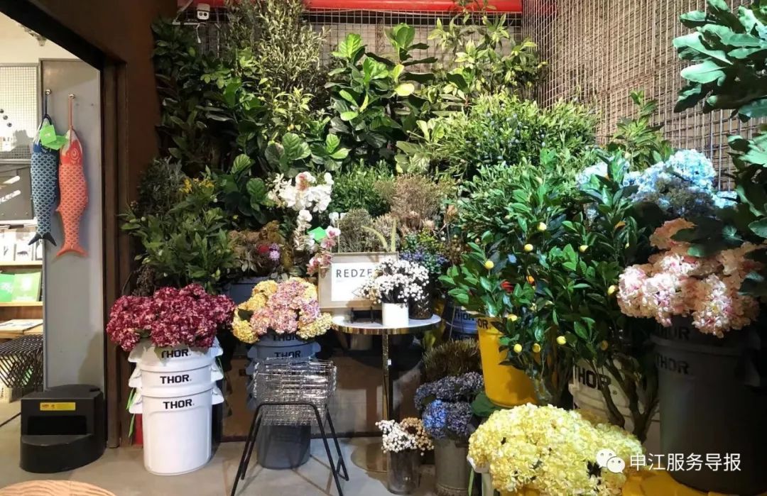 非常隐蔽的秘密基地藏在地板下,神秘的仓库到底隐藏着什么秘密