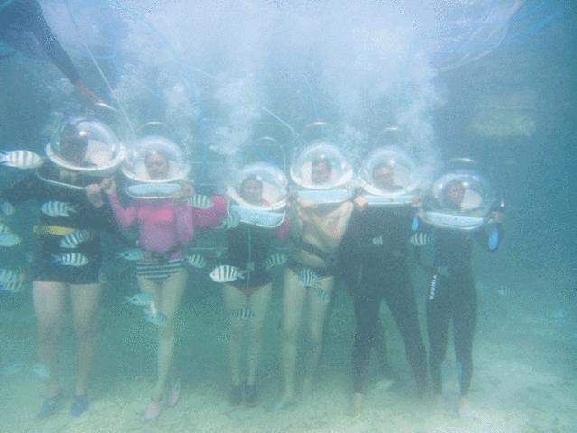 怎么去毛里求斯自由行旅游攻略,毛里求斯环岛路线