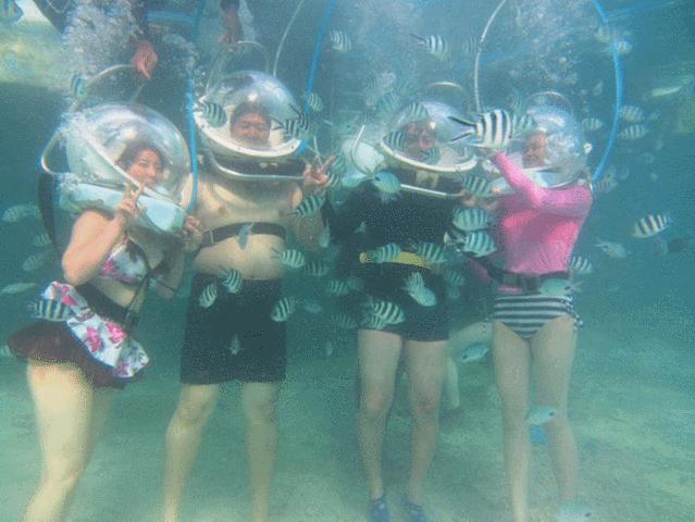 怎么去毛里求斯自由行旅游攻略,毛里求斯环岛路线