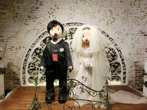 泰迪熊博物馆奇妙游,成都泰迪熊博物馆在哪里啊