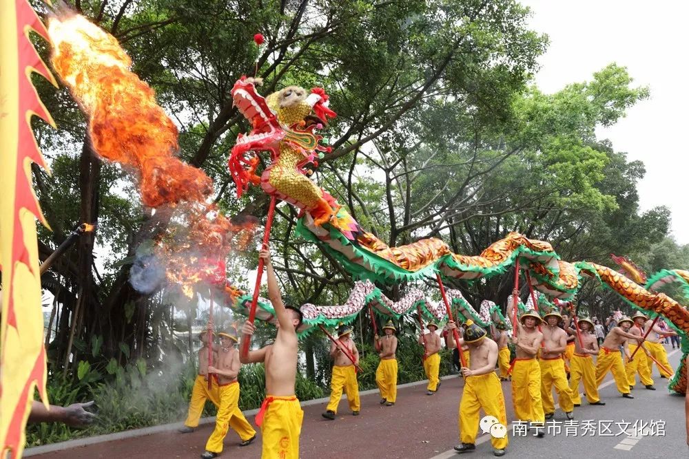 群龙聚首贺新春,青秀区国际传统舞龙邀请赛