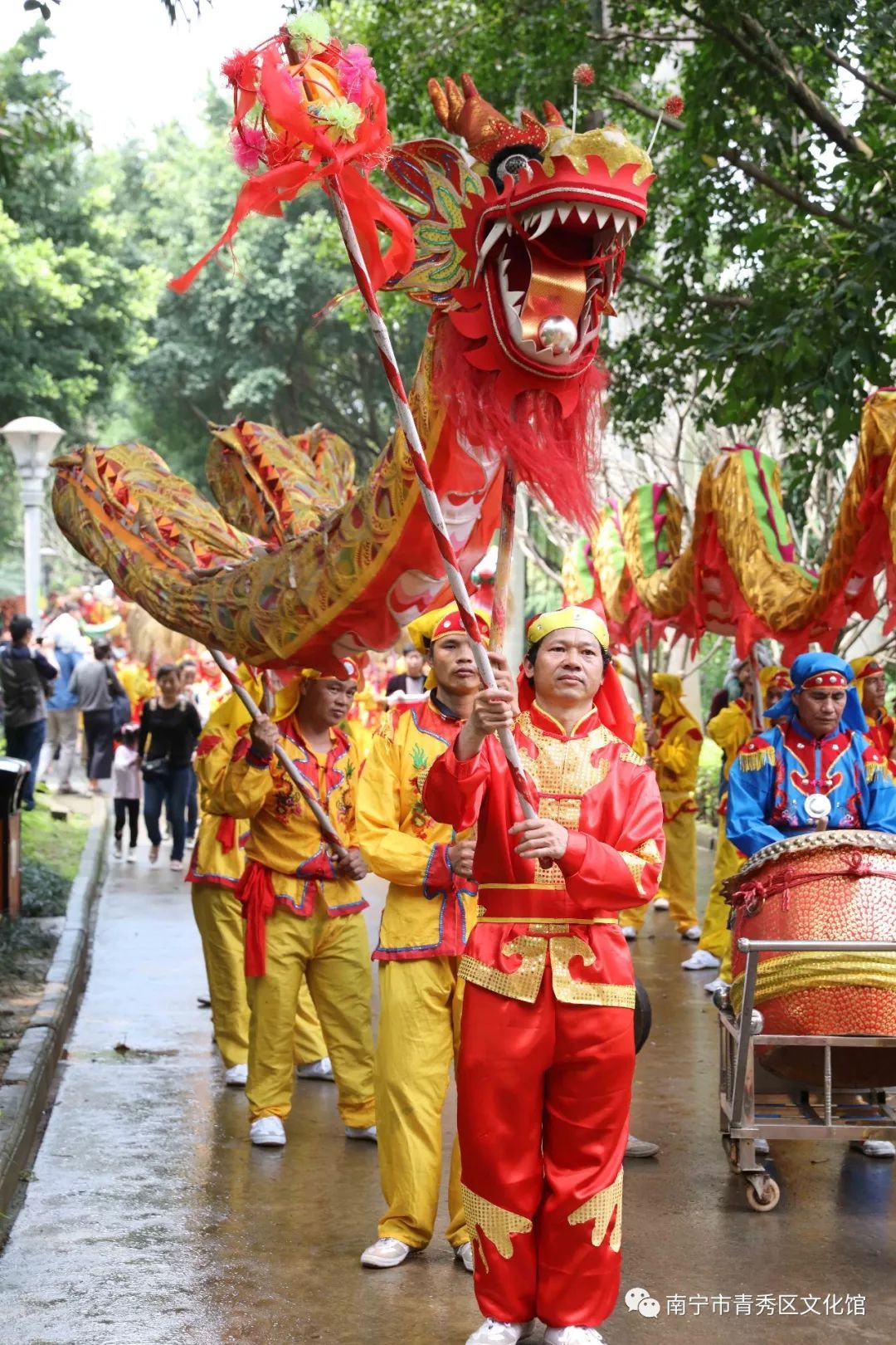 群龙聚首贺新春,青秀区国际传统舞龙邀请赛