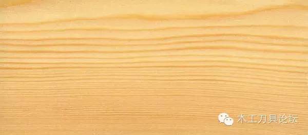 识别木材优劣家居人必备基本功,木材识别基础知识