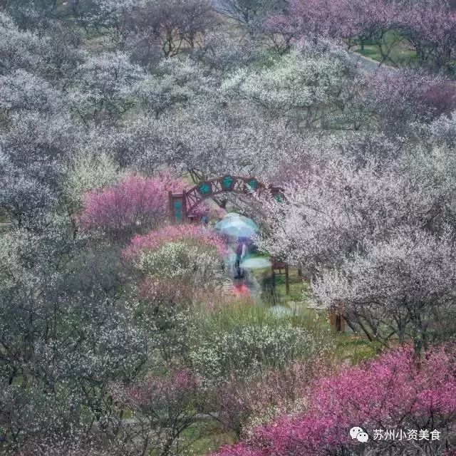 这是一份千年古泉水带来的春季崇高礼遇！（文末福利）