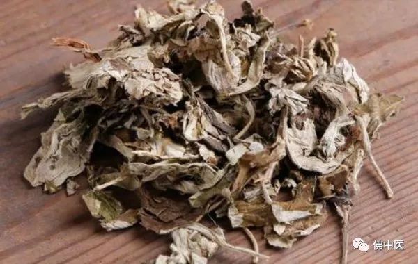 【药师在线】除了做“艾糍”,艾叶的养生价值竟然还有这么多