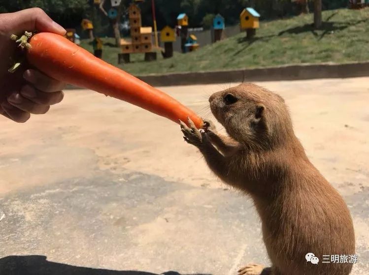 我在泰宁刚刚好,何必羡慕北上广!朋友圈传疯了!