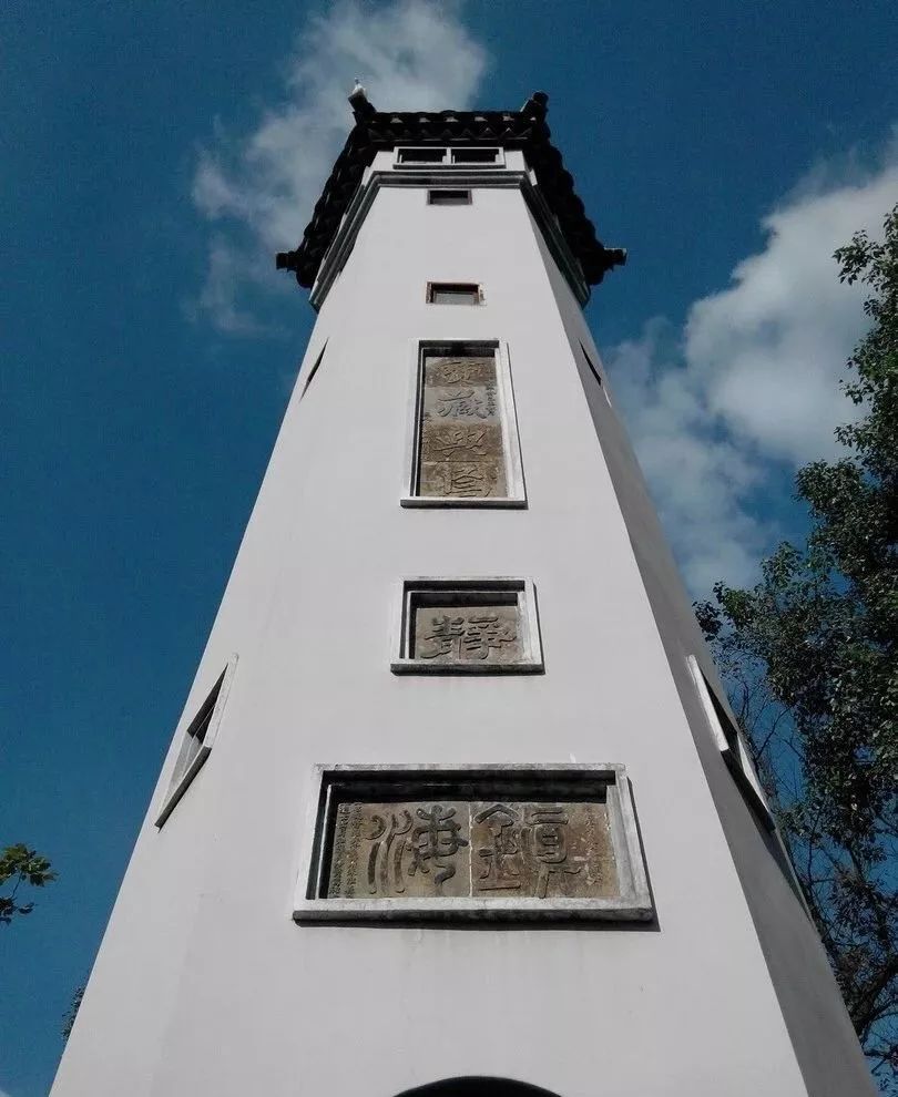 结棍！这个春天，是崇明撑起了魔都的体面！