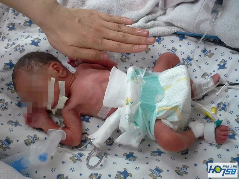 缂栫粐鐢熷懡涔嬬綉,缂栫粐鐢熷懡涔嬬綉浣滃搧