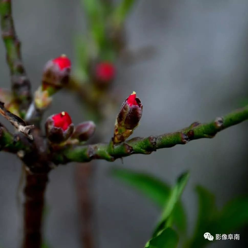 唯美视觉影像,影像的意境与情怀