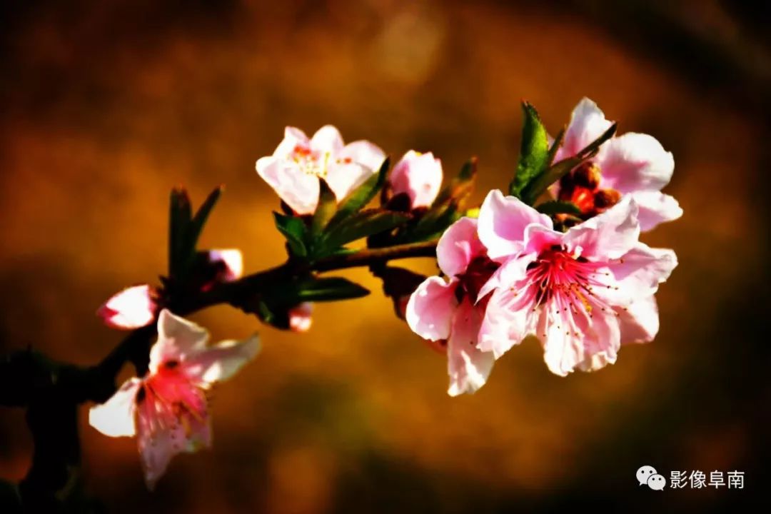 唯美视觉影像,影像的意境与情怀