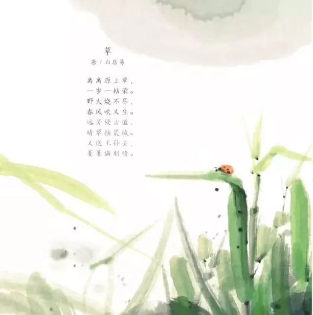 语文书最唯美的四首诗,语文书中最令人惊艳的诗