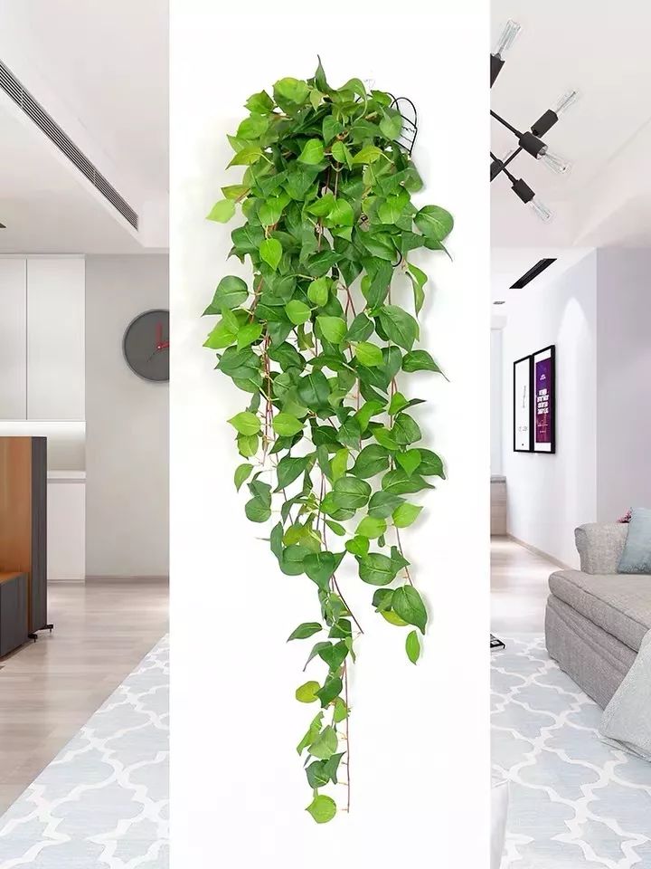 绿植装饰艺术,绿植造型效果图