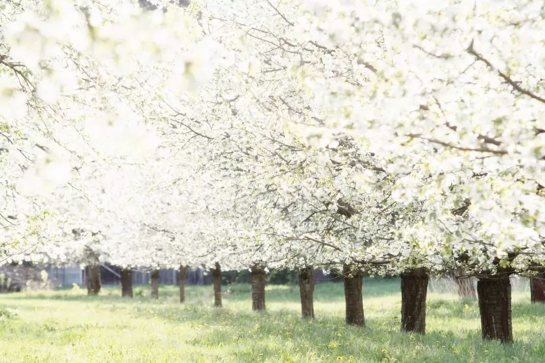 湖州一院清明节放假,湖州清明节各大医院放假安排