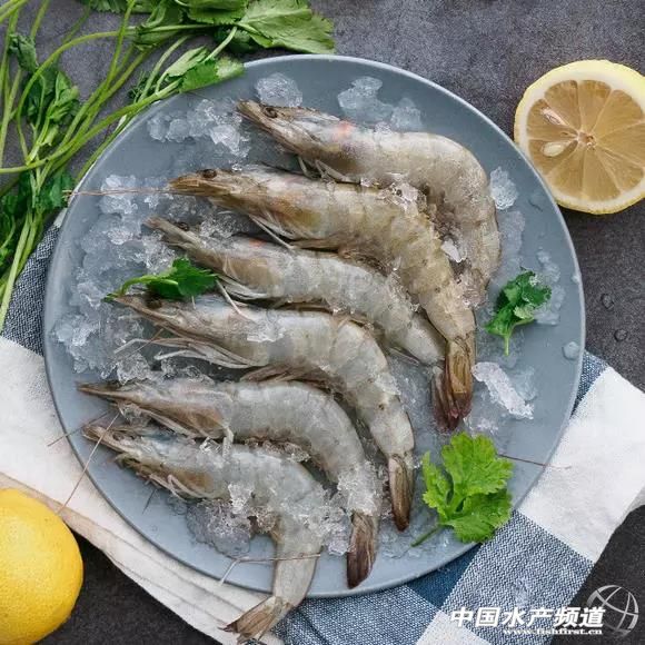 厄瓜多尔白虾都是怎么进口来的,中国人厄瓜多尔养虾