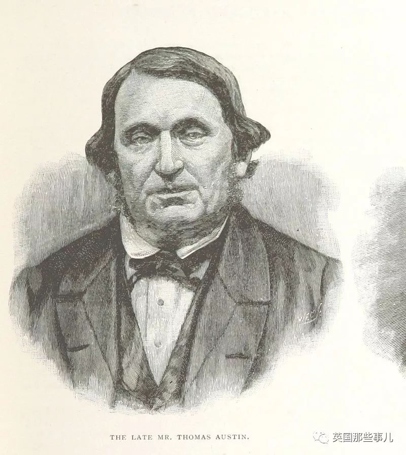 棕熊参军打仗，猫咪击败一支*队军**...真实的历史故事比小说脑洞更大