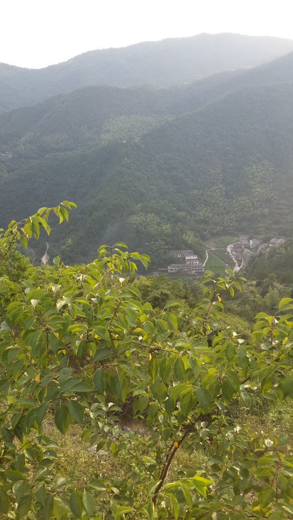 浙江台州旅游攻略三日游,浙江台州三天二晚旅行攻略