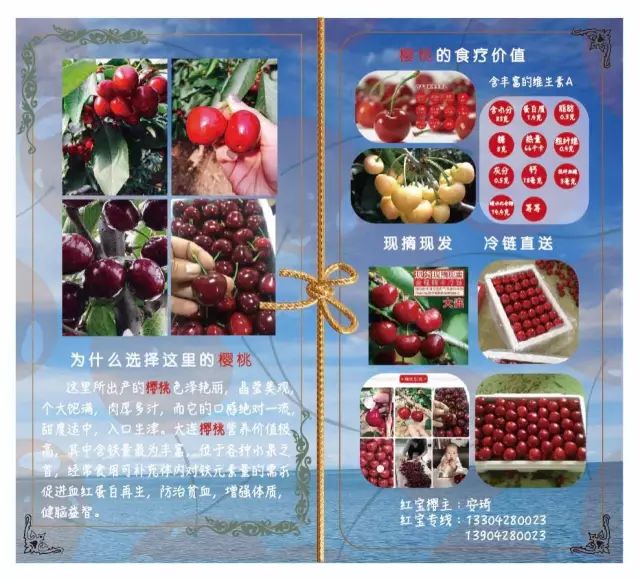 前国门安琦家的樱桃又来啦!为了孩子,他用守护球门的双手,种出了汁多甘甜的超好吃樱桃