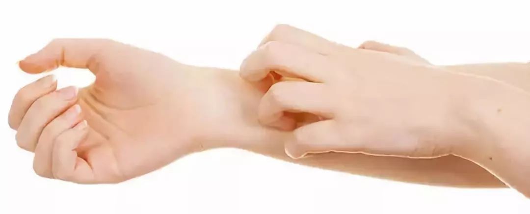 痒痒痒！疥螨会在皮肤内挖掘隧道