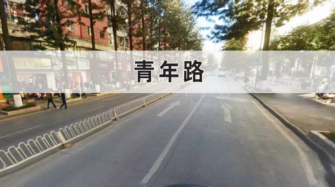 青年路咋提升？整治啥？专家市民给建议