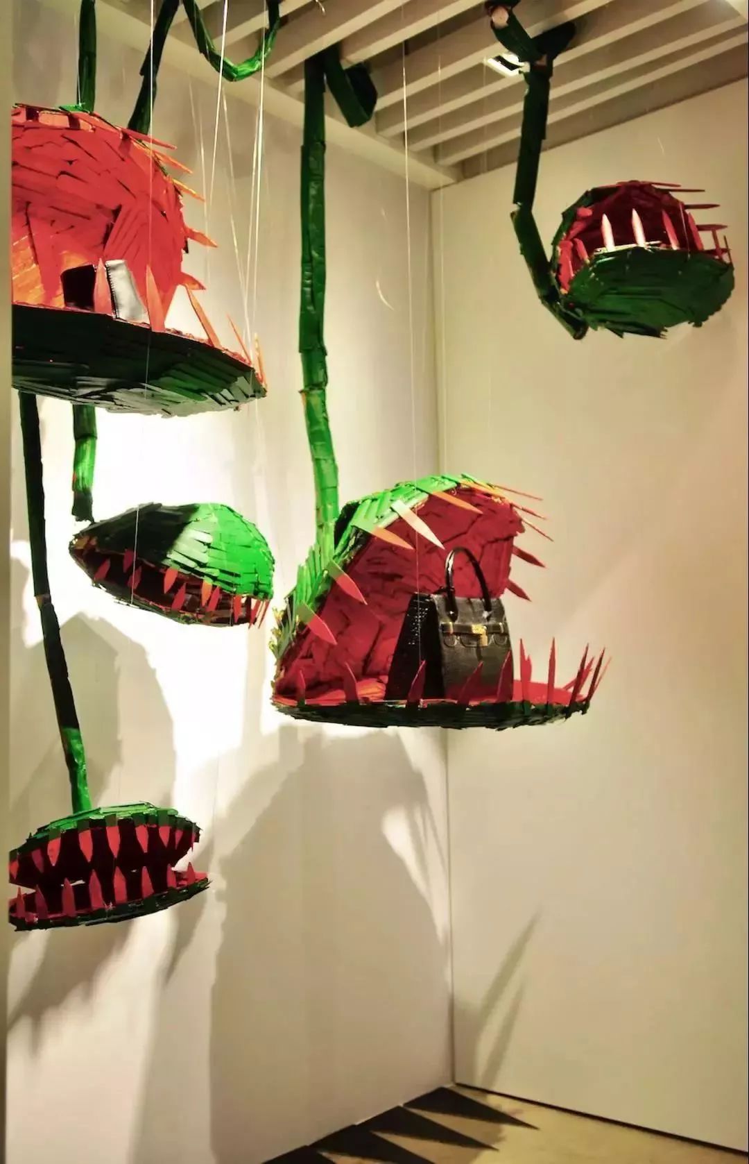 再也不羡慕别人家的果园,再也不用羡慕人家种的花