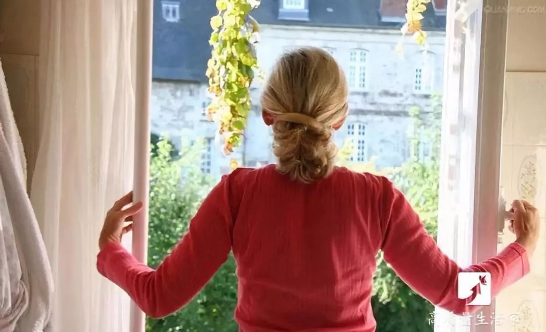 什么植物能吸收甲醛还能净化空气,吸甲醛最好的植物排行榜前十名