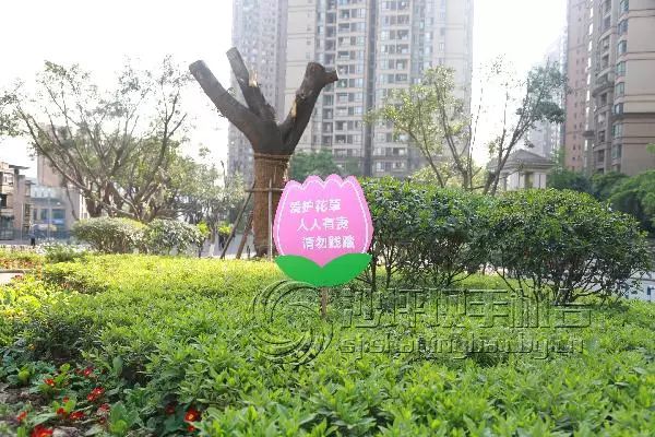 土湾片区旧改,重庆沙坪坝土湾重棉二厂