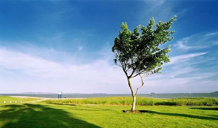 四月适合旅游的地方,四月旅游最好的去处