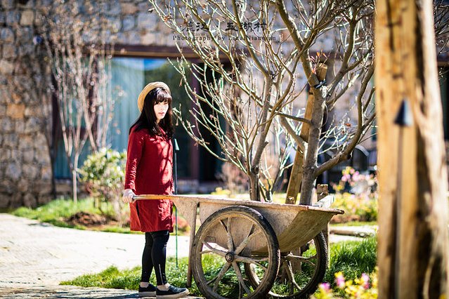 云南之旅丽江古城,回忆云南大理丽江之旅