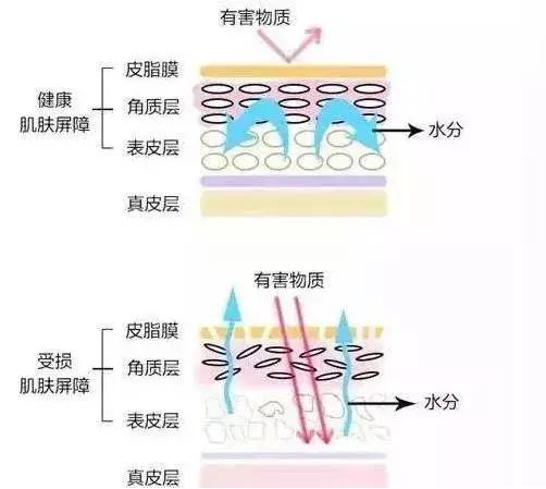39岁全智贤又凭素颜上热搜？这么多年她怎么就不显老！