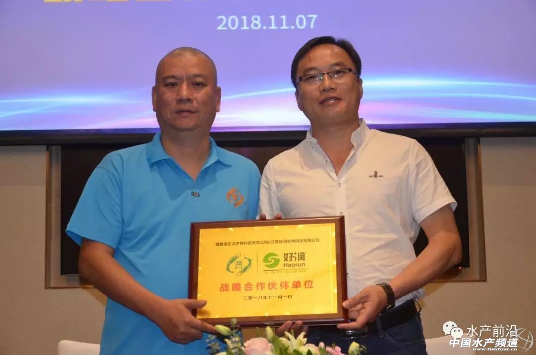 好润蟹苗养殖基地,水阳好润蟹苗