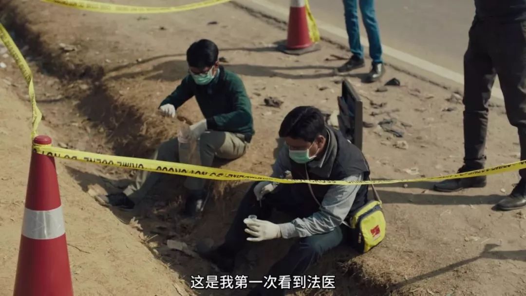 100%烂番茄电视剧,烂番茄85%分以上的电影