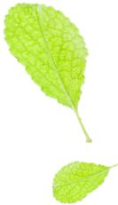 大动静！象山区总投资37.89亿的11大项目闪亮登场，你最关注哪一个？