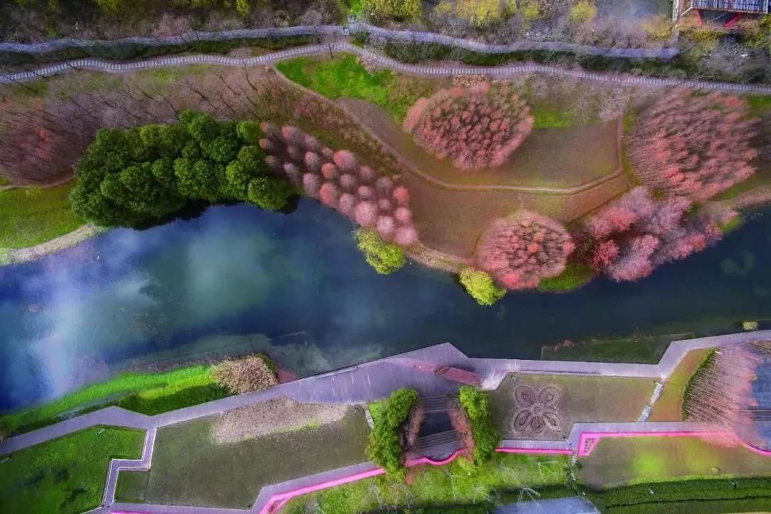 都挺好坐公交车,上海地铁7号线美景