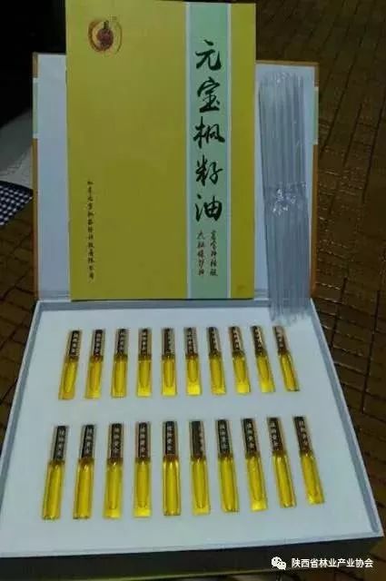 木本油料品种,中国高端木本油料