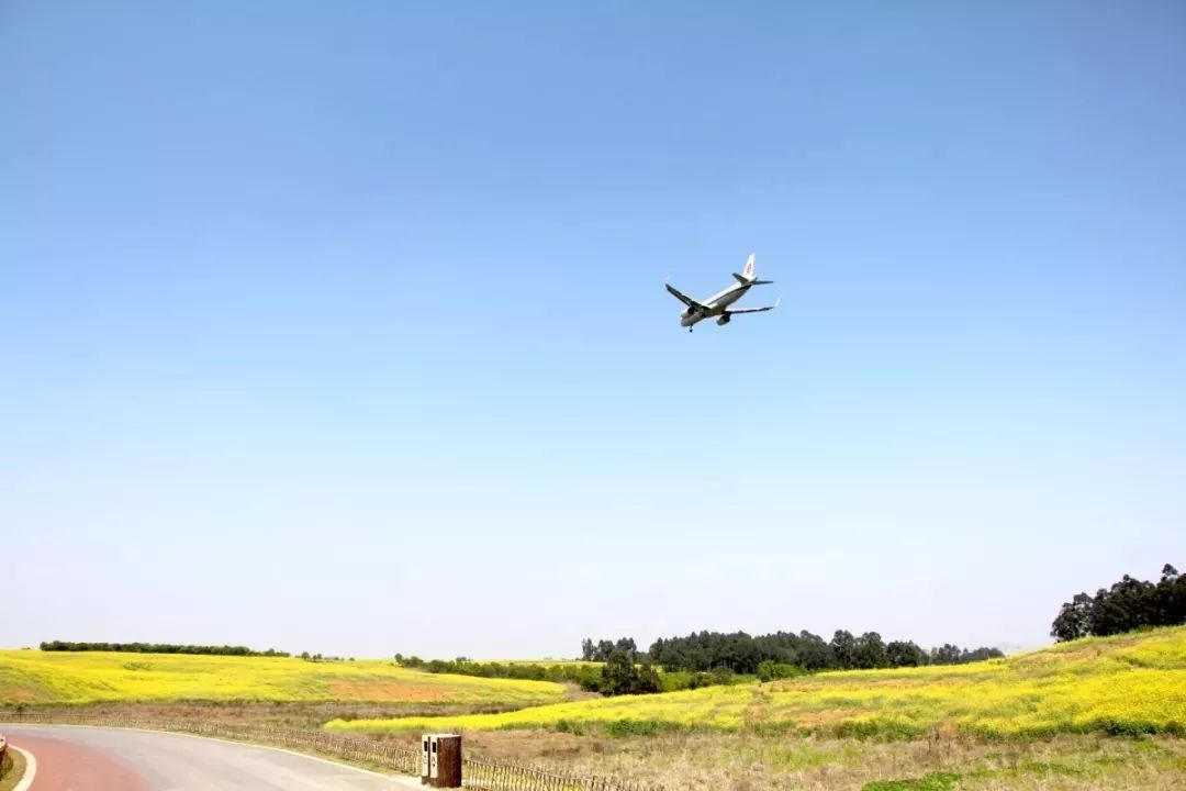 成都双流区旅游省钱攻略推荐,五一在双流适合去哪旅游