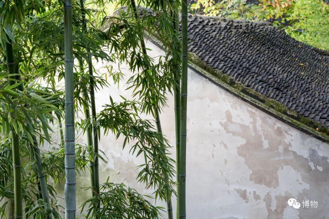 中国古典园林之美,都说岭南风景美如画