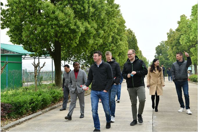 外国人评价蜀马赛道 (2019蜀马赛道展示)