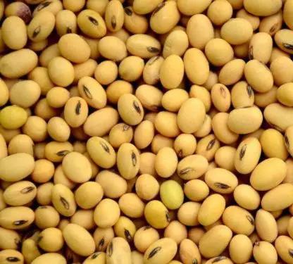 号外号外活动来袭,号外号外活动