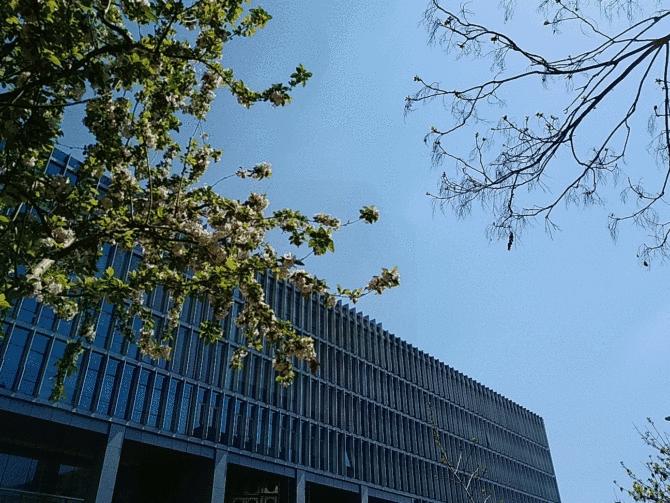 摩托罗拉g7plus6gb+测评,摩托罗拉g7plus上市价格