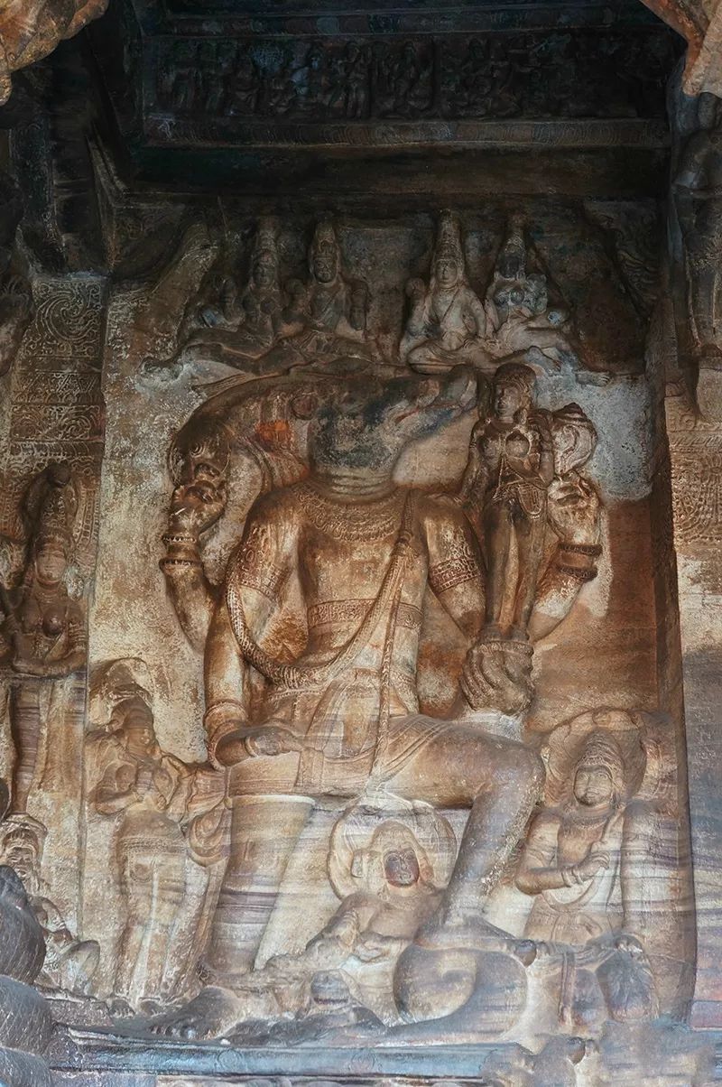 野猪的“世界史”,也是一部《权力的游戏》