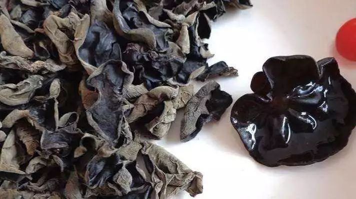 栀子花开李乃东经典散文,李乃东散文全文