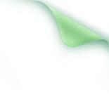 世园藏珍奇|再看中国馆里的兰中“美娇娘”——带叶兜兰