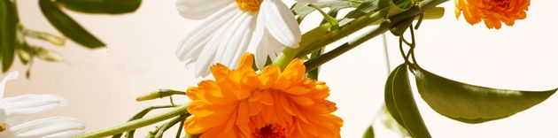 四月生鲜什么最好卖呢,鲜货才是王道