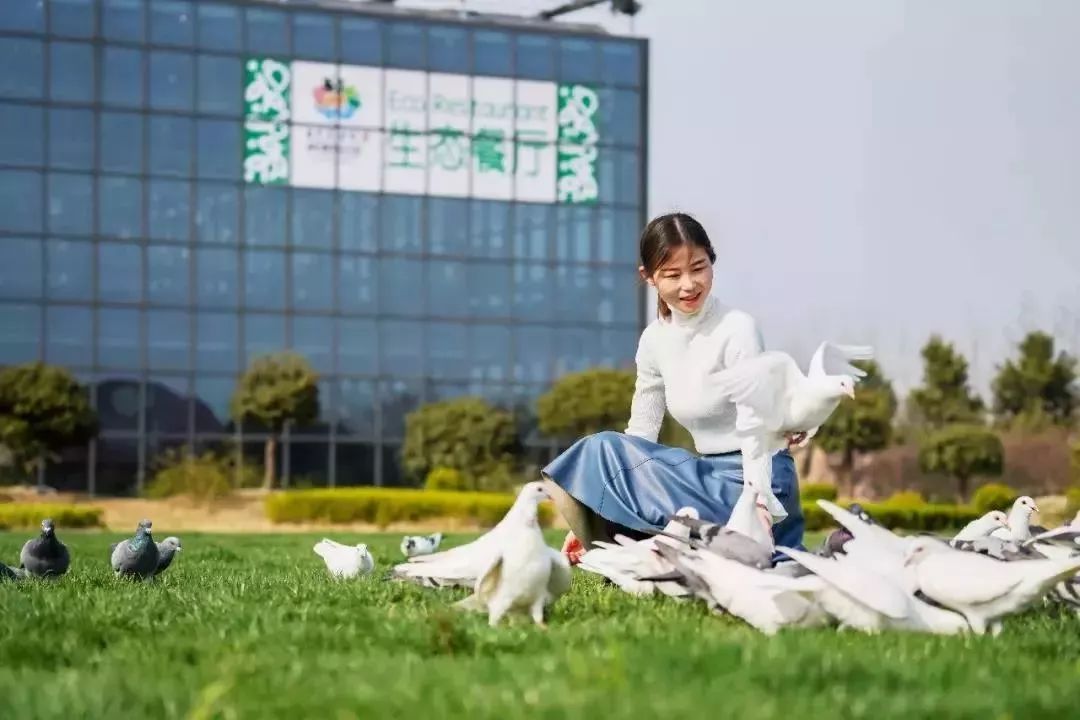 赏花采摘看马战，快来祥和庄园迎娶“春天”！