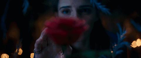 四季可用防晒乳防紫外线50倍正品,防晒一年四季必备